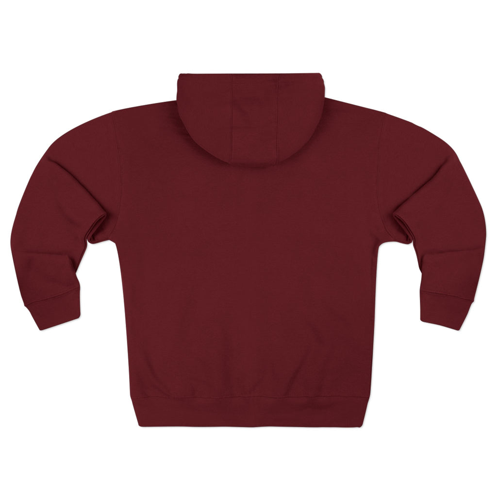 The Recovery Zip Hoodie — Premium DR.E Logo Full-Zip Hoodie in Scrub-Matched Colors | Daily Recovery Essentials